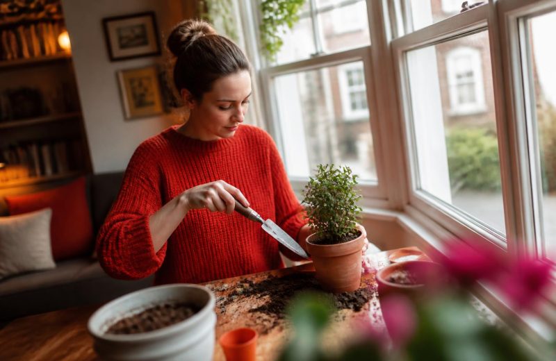Smart Garden Spaces: Practical Home Garden Strategies for Year-Round Joy